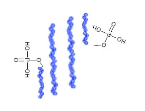 Fosforylowane peptydy