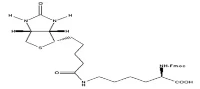 Fmoc-D-Lys(Biotyna)-OH
